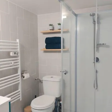 De France La Marmotte Disposant D Un De Type 2 De 30m2 Et D Un Second Type 3 De 58m2 Proche Du D'aiguebelette Entiers Separes Avec Terrasses Privatives Apartment Saint-Beron